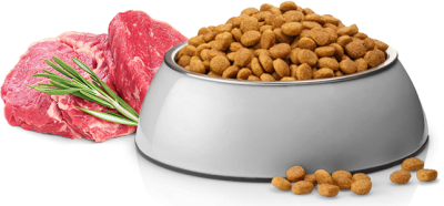 Puppy-ML-Lamb-Product