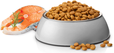 Puppy-ML-Salmon-Product
