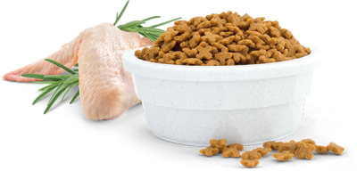 VanCat-Adult-Chicken-Product