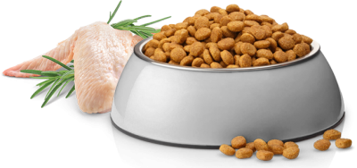 Adult-ML-Chicken-Product