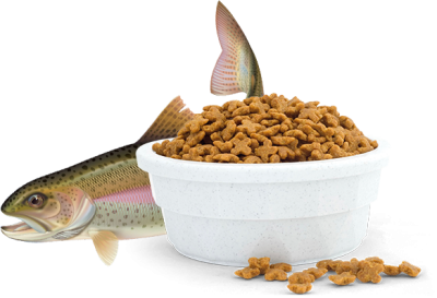 Sterilised-Cat-Fish-Product Sterilised-Cat-Fish-Product